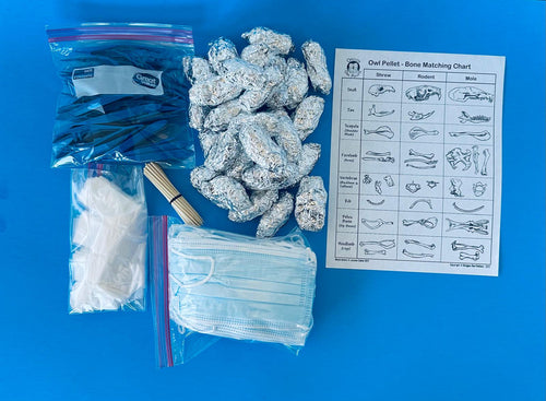 Owl Pellet Dissection Kit 30 Count Large Pellets (2+ Inch)