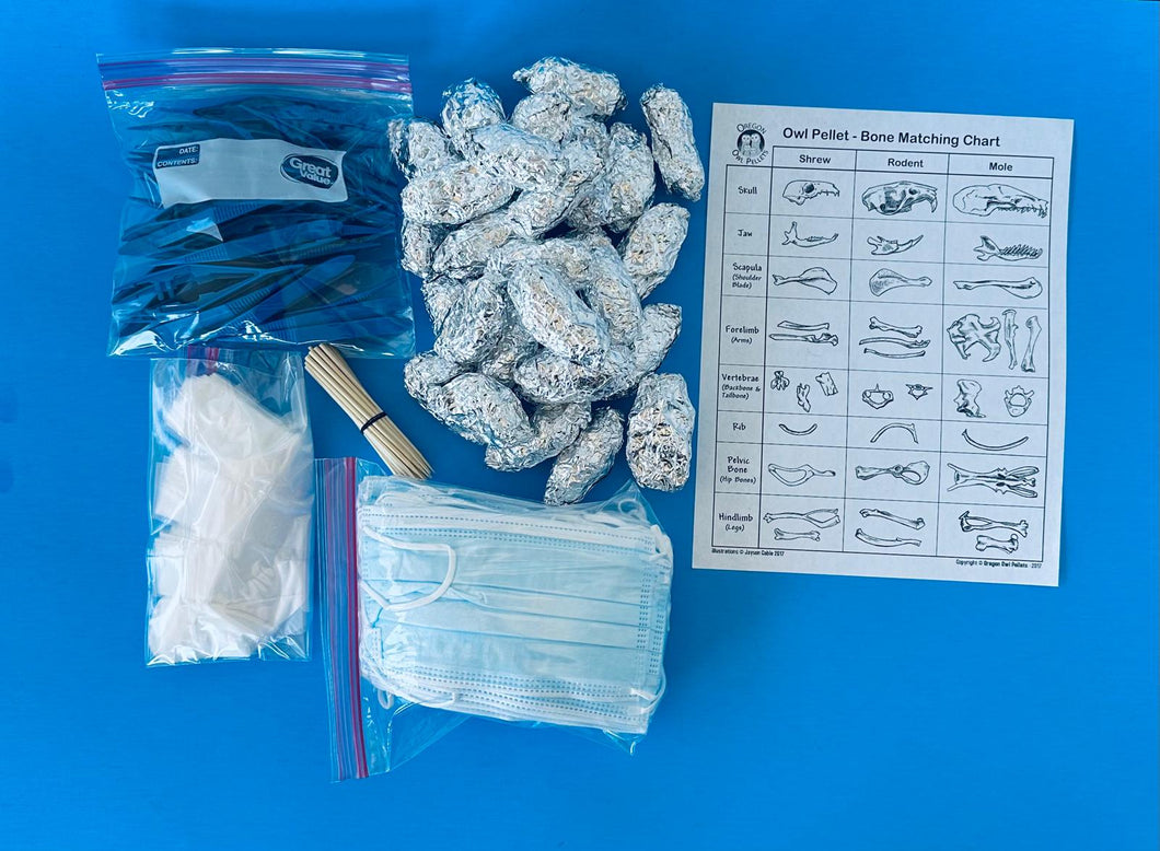 Owl Pellet Dissection Kit 30 Count Large Pellets (2+ Inch)