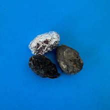 Individual Owl Pellets for Classroom Dissection, one foil wrapped