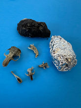Medium Barn Owl Pellets 1 1/2 inch & up
