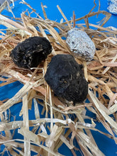 Medium Barn Owl Pellets 1 1/2 inch & up