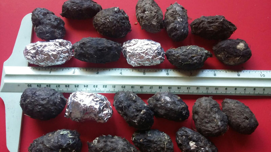 Medium Owl Pellets measure 1.5 to 2 inches in length on average.