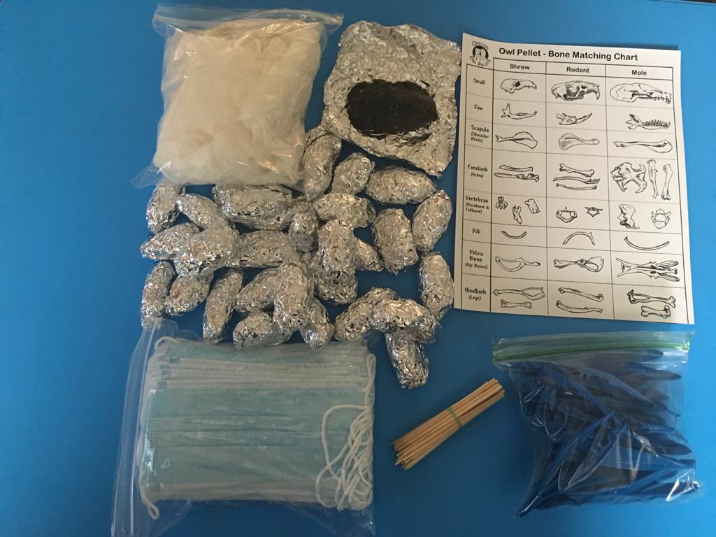 All Owl Pellet Products