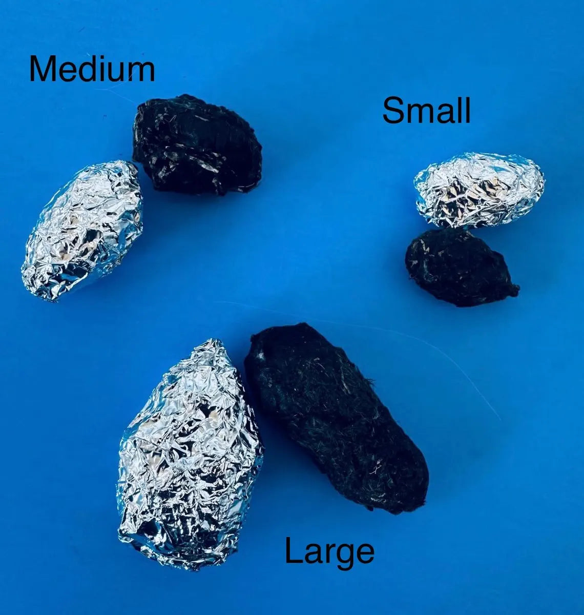 Individual Owl Pellets