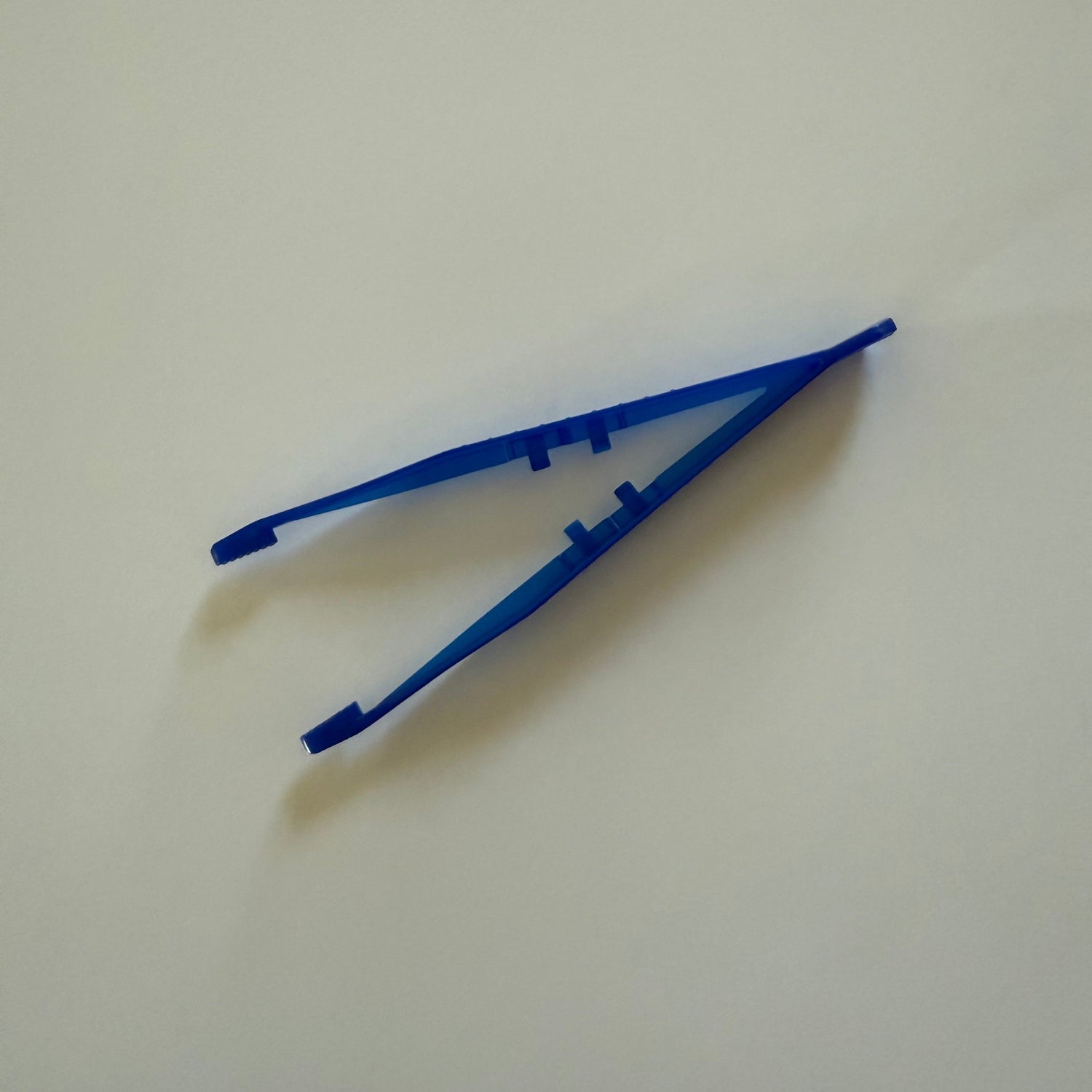 Owl Pellet Dissection Tools & Supplies