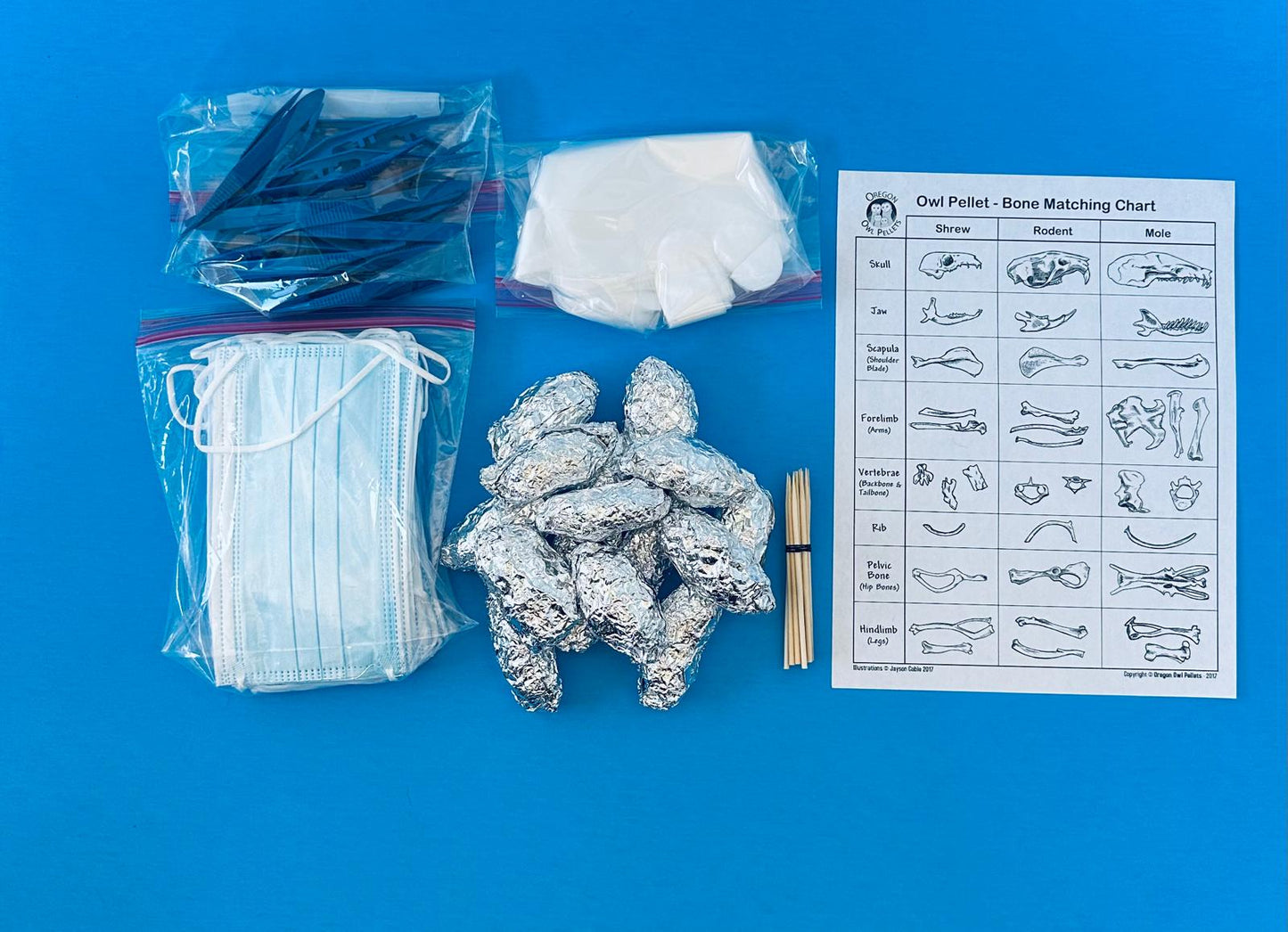 Owl Pellet Dissection Kit – 15 Large Pellets (2+ Inch) – Complete Classroom Set