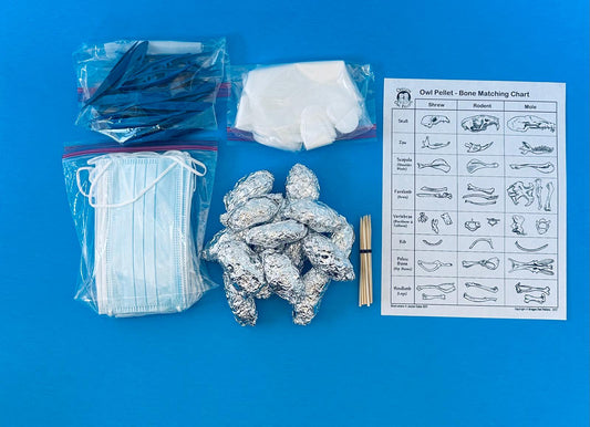 Owl Pellet Dissection Kit – 15 Large Pellets (2+ Inch) – Complete Classroom Set