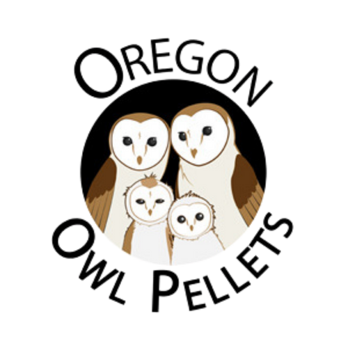 Oregon Owl Pellets