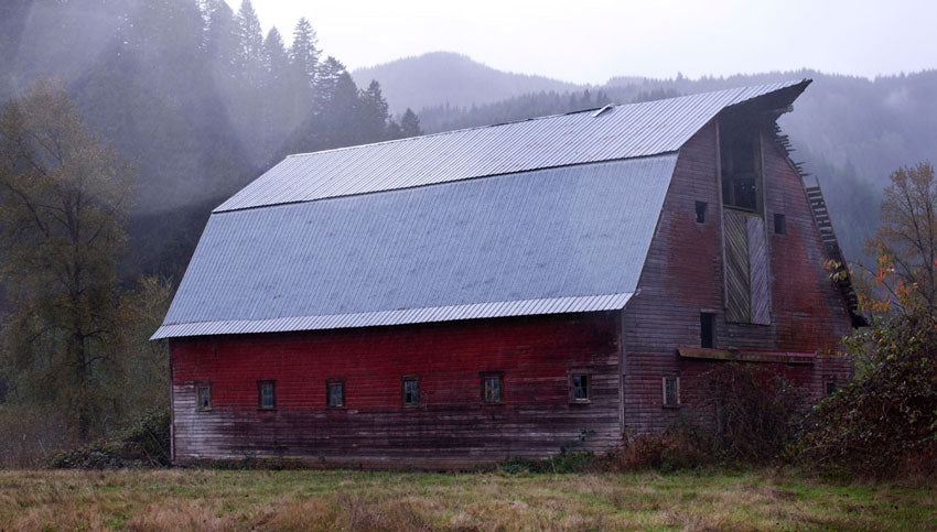 Old red barn with a metal roof in a woody area, photo by Tim Mossholder