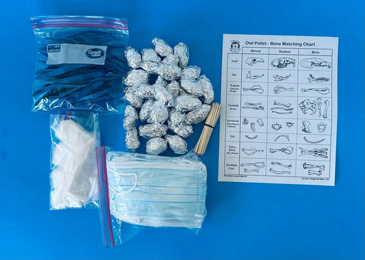 Owl Pellet Dissection Kit – 25 Medium Pellets (1.5+ Inch) – Complete Classroom Set