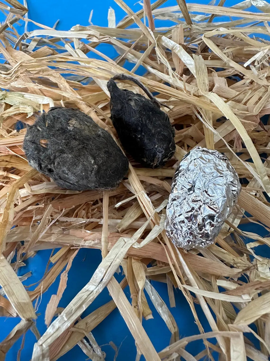 100 Small Owl Pellets – 1+ Inch – Bulk Classroom Pack