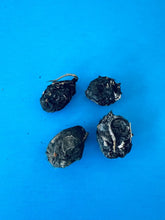 Small Barn Owl Pellets 1 inch & up