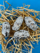 Large Barn Owl Pellets 2 inches & up