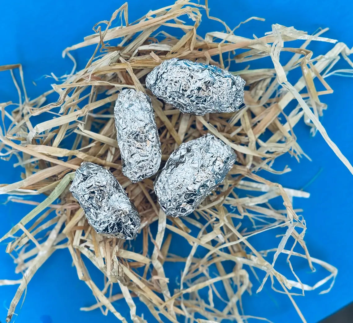 Owl Pellet Dissection Kit – 30 Medium Pellets (1.5+ Inch) – Complete Classroom Set