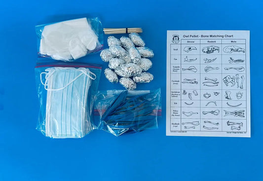 Owl Pellet Dissection Kit – 15 Medium Pellets (1.5+ Inch) – Complete Classroom Set