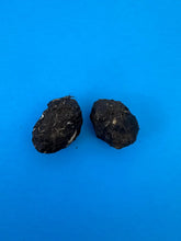 Owl Pellet Dissection Kit 15 Count Medium Pellets (1.5+ inch)