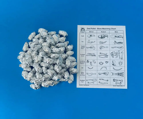 100 Small Owl Pellet Pack(1+ inch)