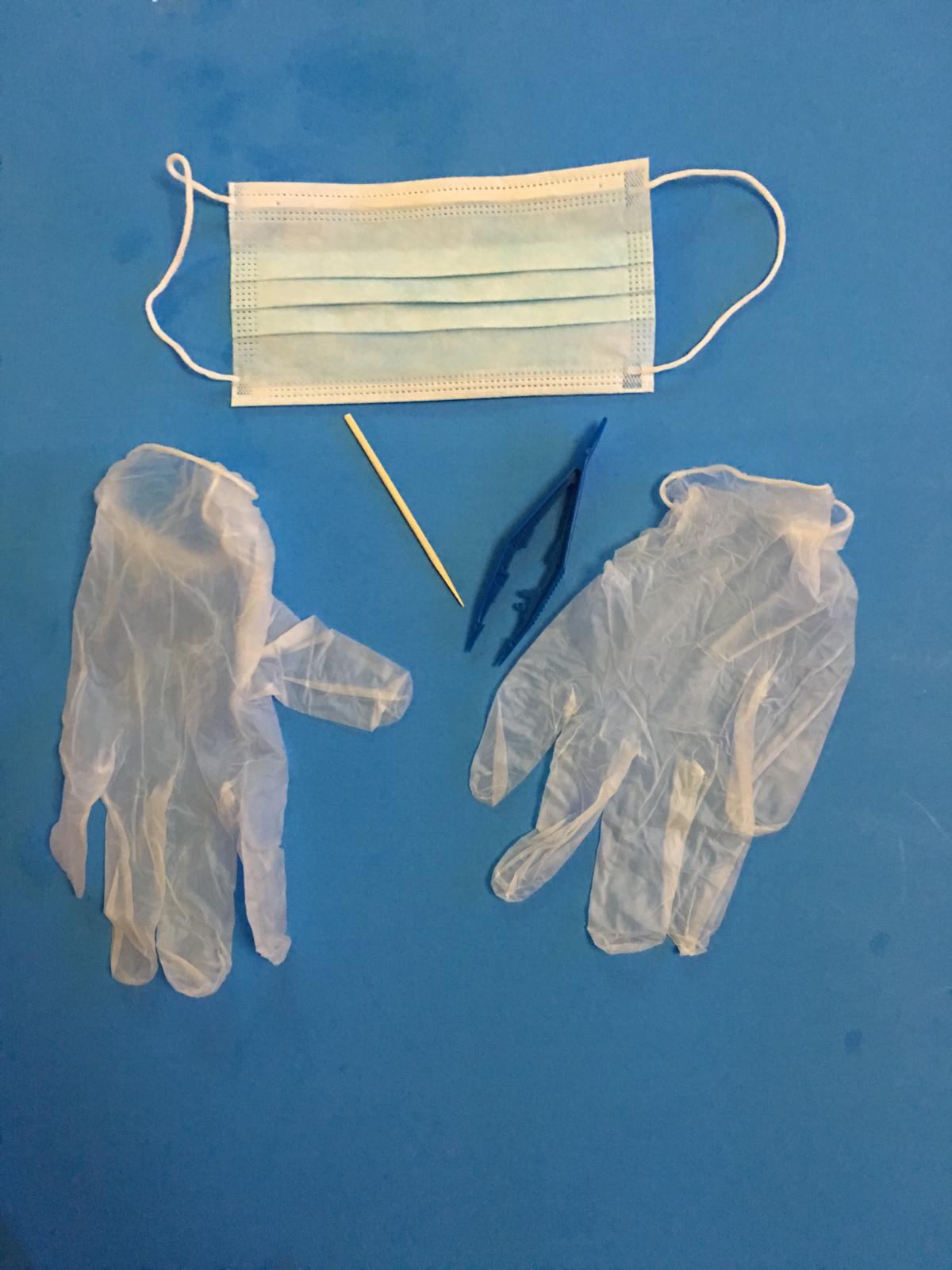 Owl Pellet Dissection Tool Kit – Basic Tool Set